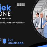 gojek clone increase your profit