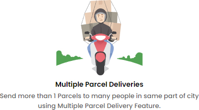 Multiple Parcel Deliveries